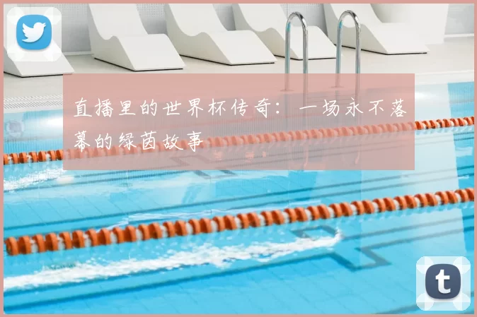 直播里的世界杯传奇：一场永不落幕的绿茵故事