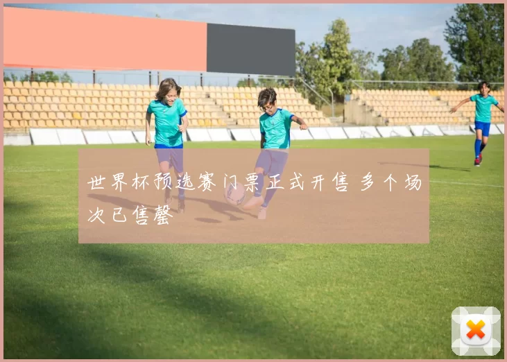 世界杯预选赛门票正式开售 多个场次已售罄