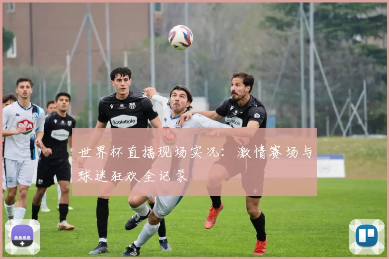 世界杯直播现场实况：激情赛场与球迷狂欢全记录