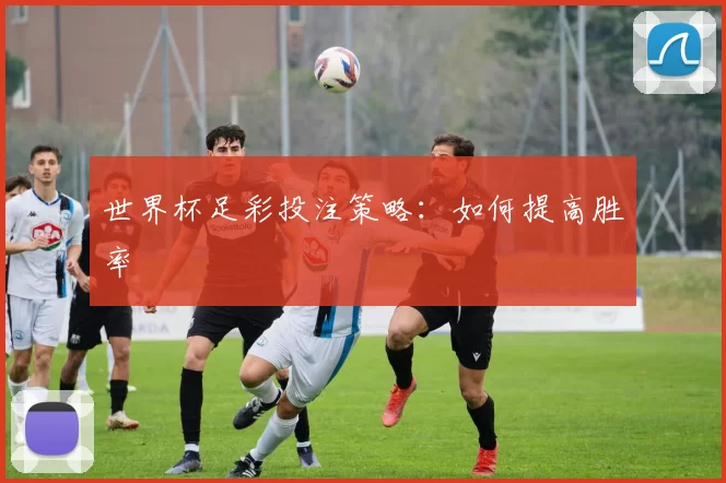 世界杯足彩投注策略:如何提高胜率