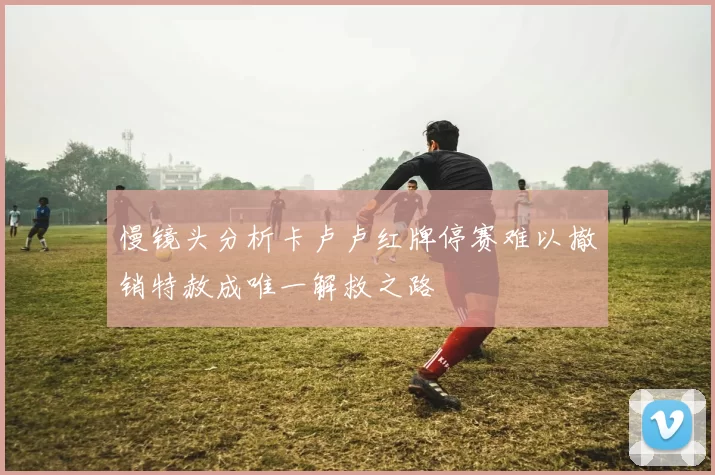 慢镜头分析卡卢卢红牌停赛难以撤销特赦成唯一解救之路