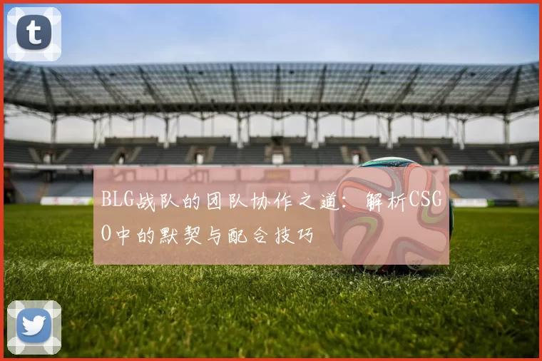 BLG战队的团队协作之道：解析CSGO中的默契与配合技巧