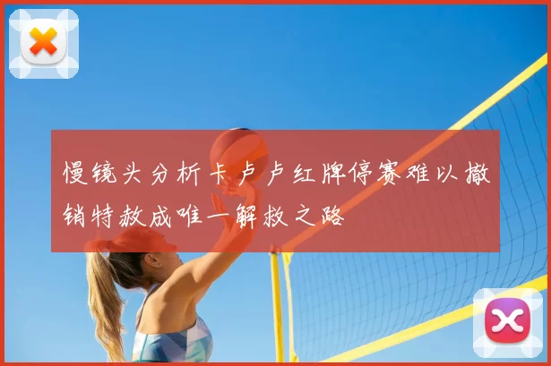 慢镜头分析卡卢卢红牌停赛难以撤销特赦成唯一解救之路