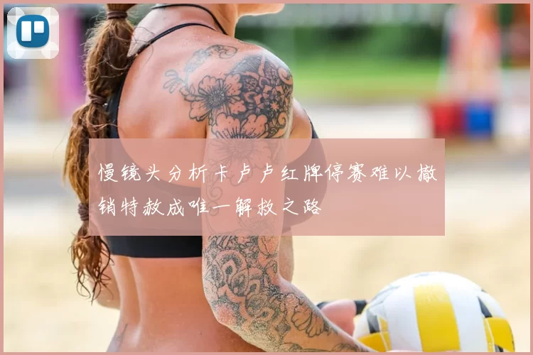 慢镜头分析卡卢卢红牌停赛难以撤销特赦成唯一解救之路