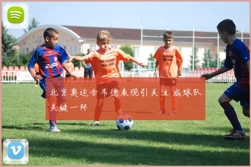 北京奥运会韦德表现引关注 成球队关键一环