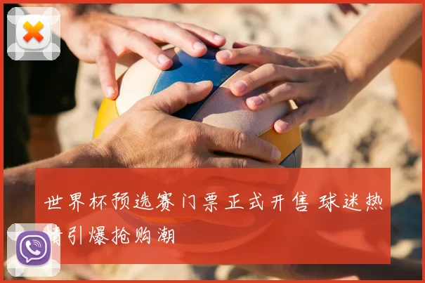 世界杯预选赛门票正式开售 球迷热情引爆抢购潮