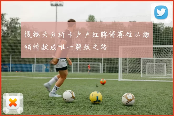 慢镜头分析卡卢卢红牌停赛难以撤销特赦成唯一解救之路