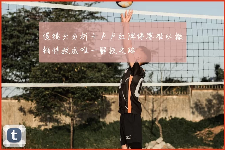 慢镜头分析卡卢卢红牌停赛难以撤销特赦成唯一解救之路