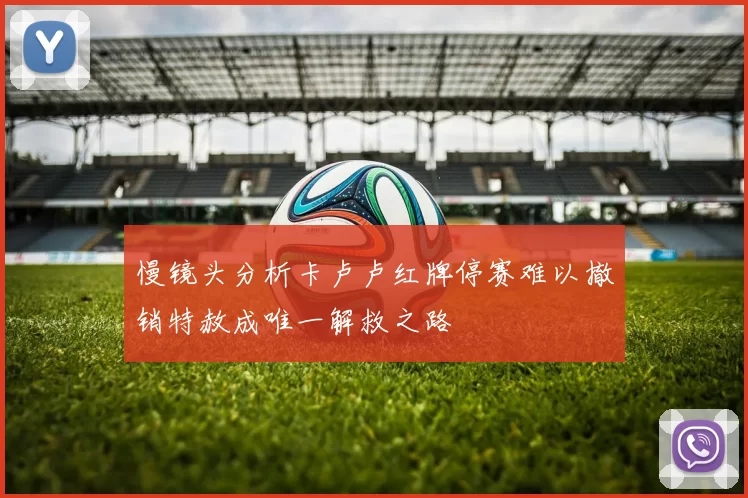 慢镜头分析卡卢卢红牌停赛难以撤销特赦成唯一解救之路