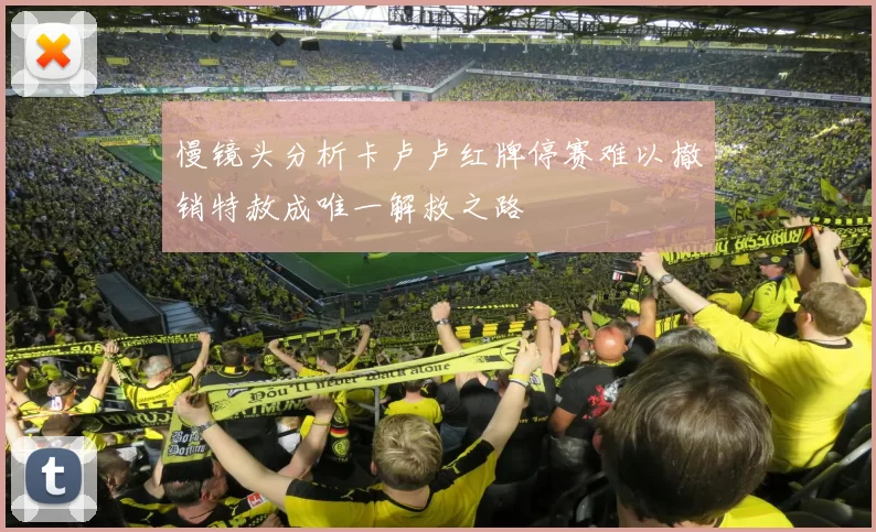 慢镜头分析卡卢卢红牌停赛难以撤销特赦成唯一解救之路