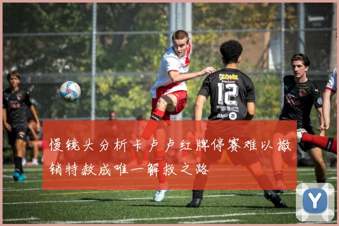 慢镜头分析卡卢卢红牌停赛难以撤销特赦成唯一解救之路