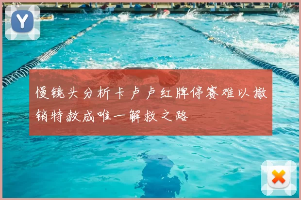 慢镜头分析卡卢卢红牌停赛难以撤销特赦成唯一解救之路