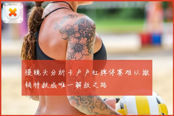 慢镜头分析卡卢卢红牌停赛难以撤销特赦成唯一解救之路