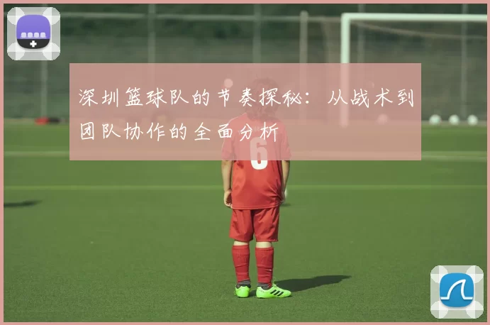 深圳篮球队的节奏探秘：从战术到团队协作的全面分析