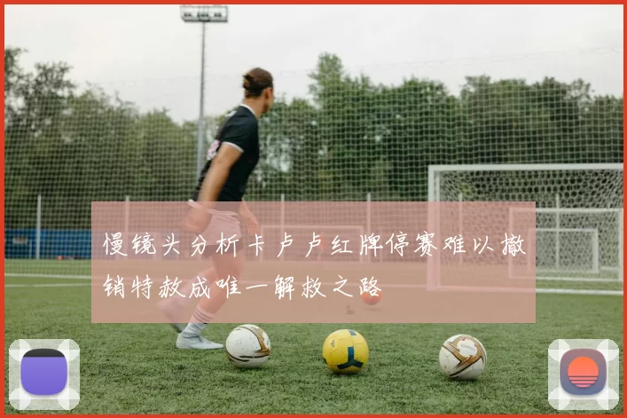 慢镜头分析卡卢卢红牌停赛难以撤销特赦成唯一解救之路