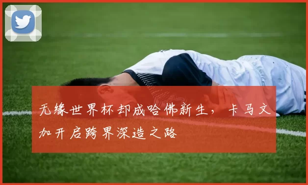 无缘世界杯却成哈佛新生，卡马文加开启跨界深造之路