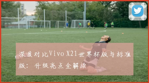 深度对比Vivo X21世界杯版与标准版:升级亮点全解读