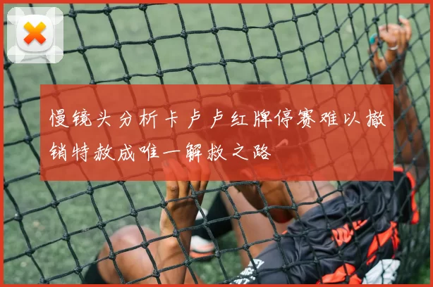 慢镜头分析卡卢卢红牌停赛难以撤销特赦成唯一解救之路
