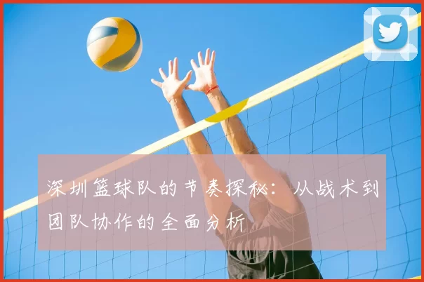 深圳篮球队的节奏探秘：从战术到团队协作的全面分析
