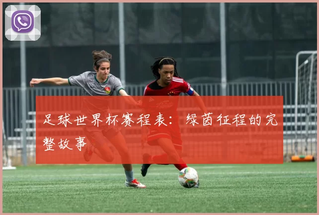足球世界杯赛程表:绿茵征程的完整故事