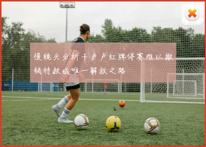 慢镜头分析卡卢卢红牌停赛难以撤销特赦成唯一解救之路