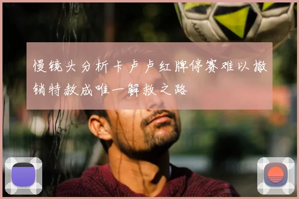 慢镜头分析卡卢卢红牌停赛难以撤销特赦成唯一解救之路