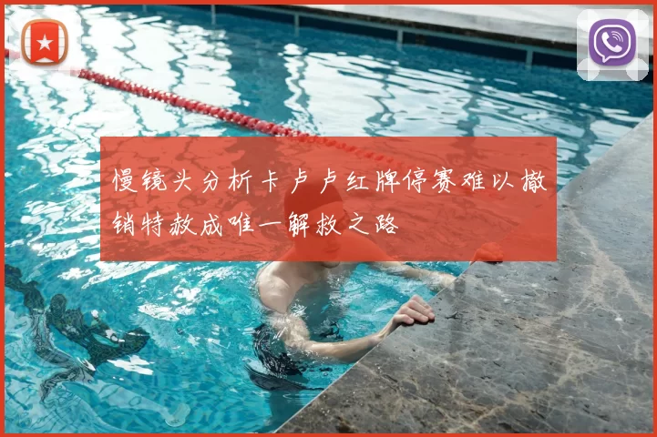 慢镜头分析卡卢卢红牌停赛难以撤销特赦成唯一解救之路
