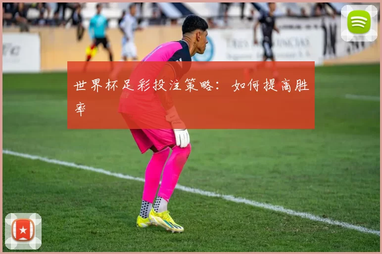 世界杯足彩投注策略:如何提高胜率