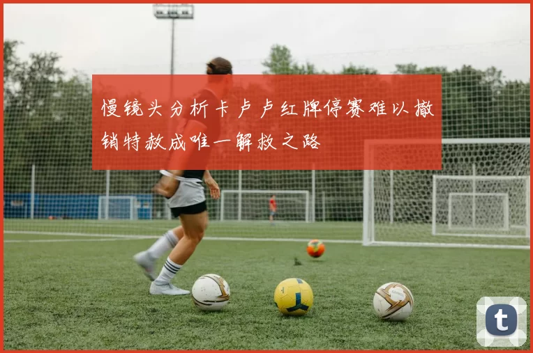 慢镜头分析卡卢卢红牌停赛难以撤销特赦成唯一解救之路