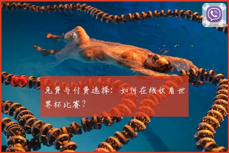 免费与付费选择：如何在线收看世界杯比赛？