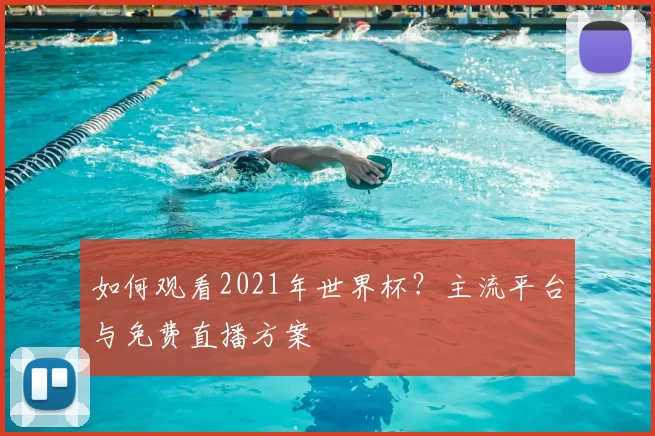 如何观看2021年世界杯?主流平台与免费直播方案
