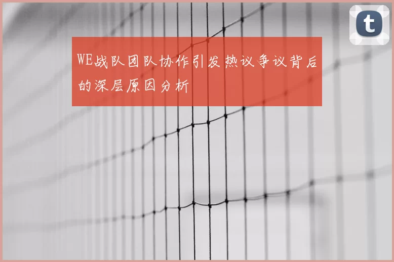 WE战队团队协作引发热议争议背后的深层原因分析